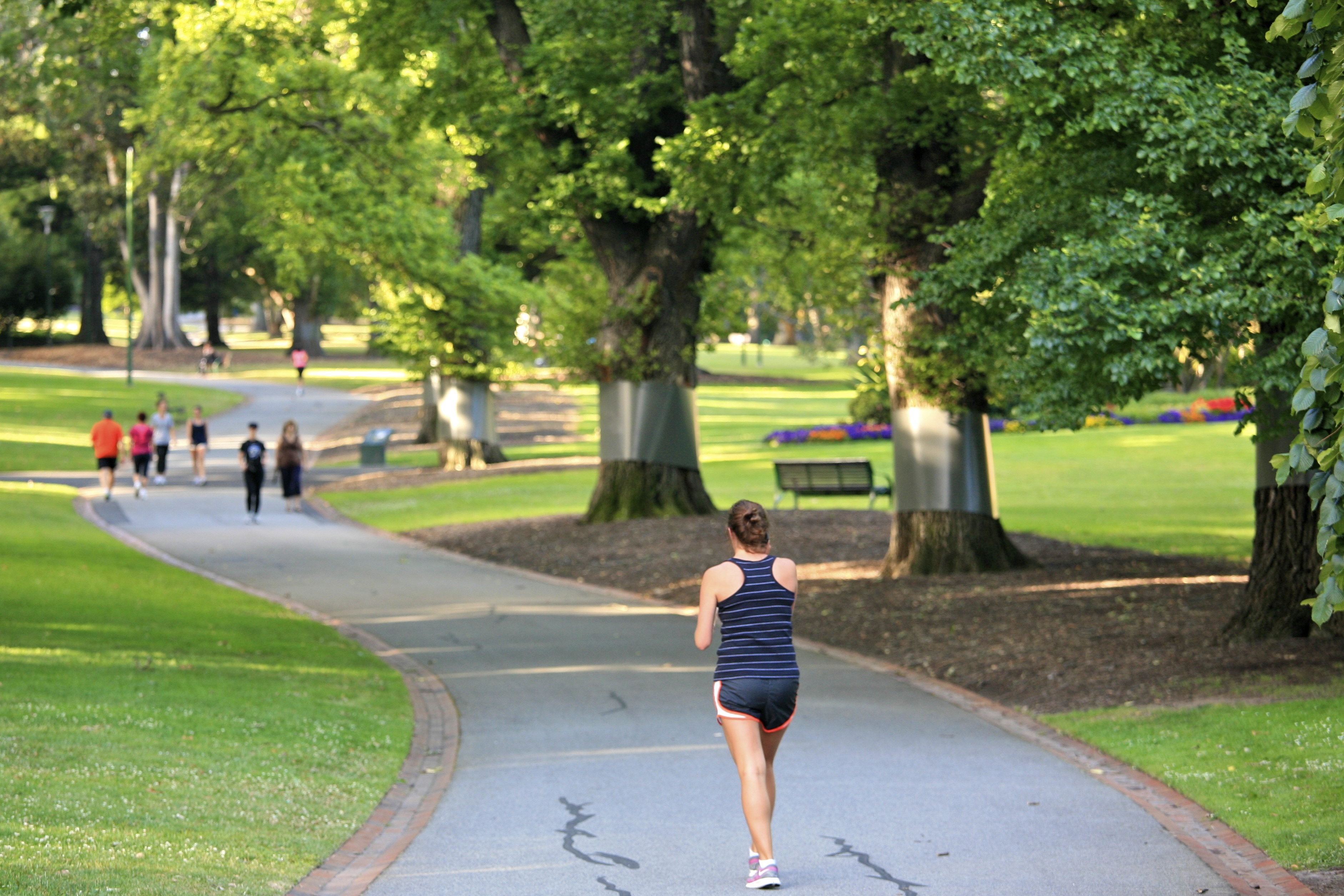 Walking just might be the exercise routine that fits your lifestyle. Here's how to get started.